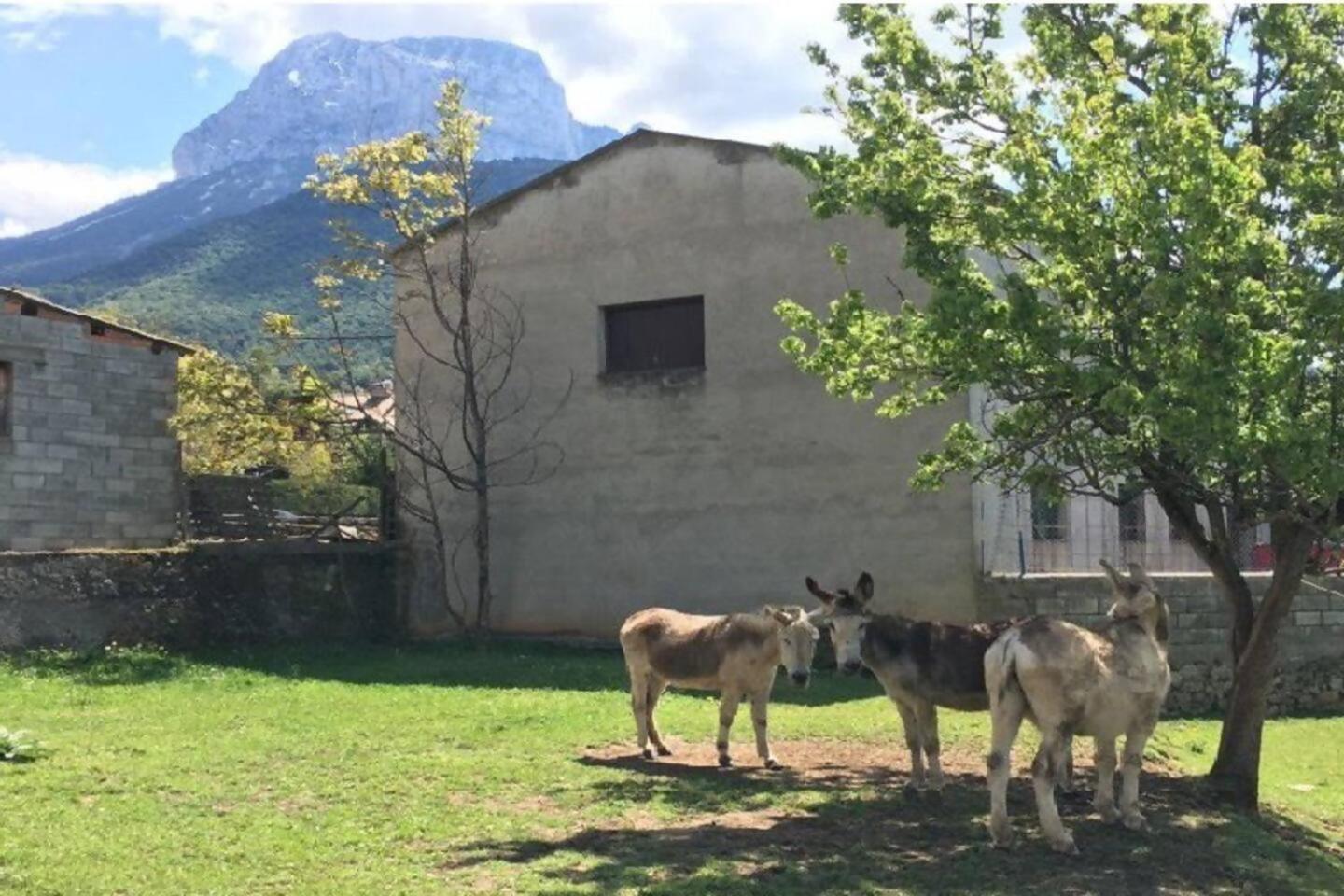 Duplex La Valle Ordesaainsa Laspuña Buitenkant foto